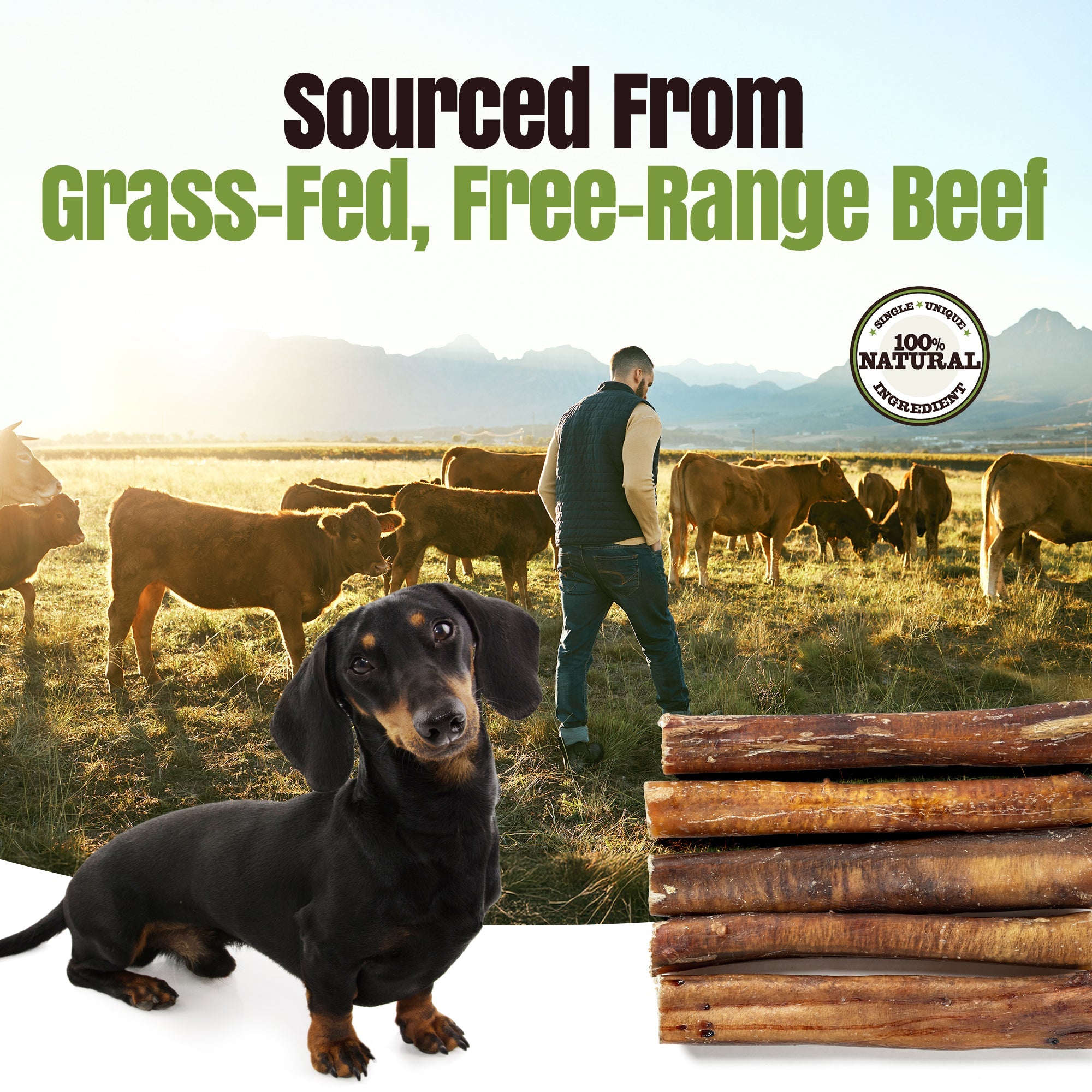 Moodog Beef Monster Bully Sticks 6"-12"- Pack of 25