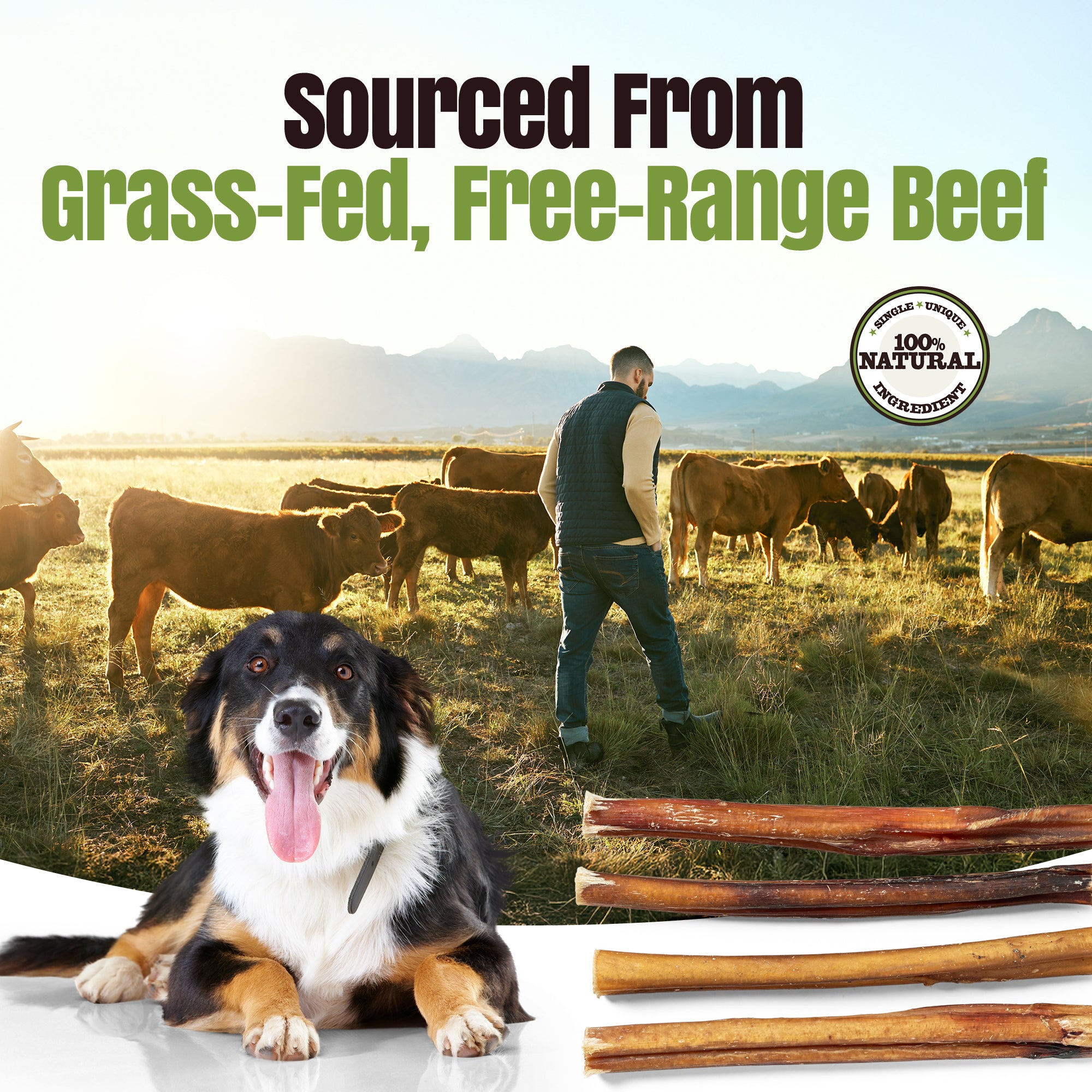 Moodog Beef Standard Bully Sticks 6" & 12" - Pack of 25