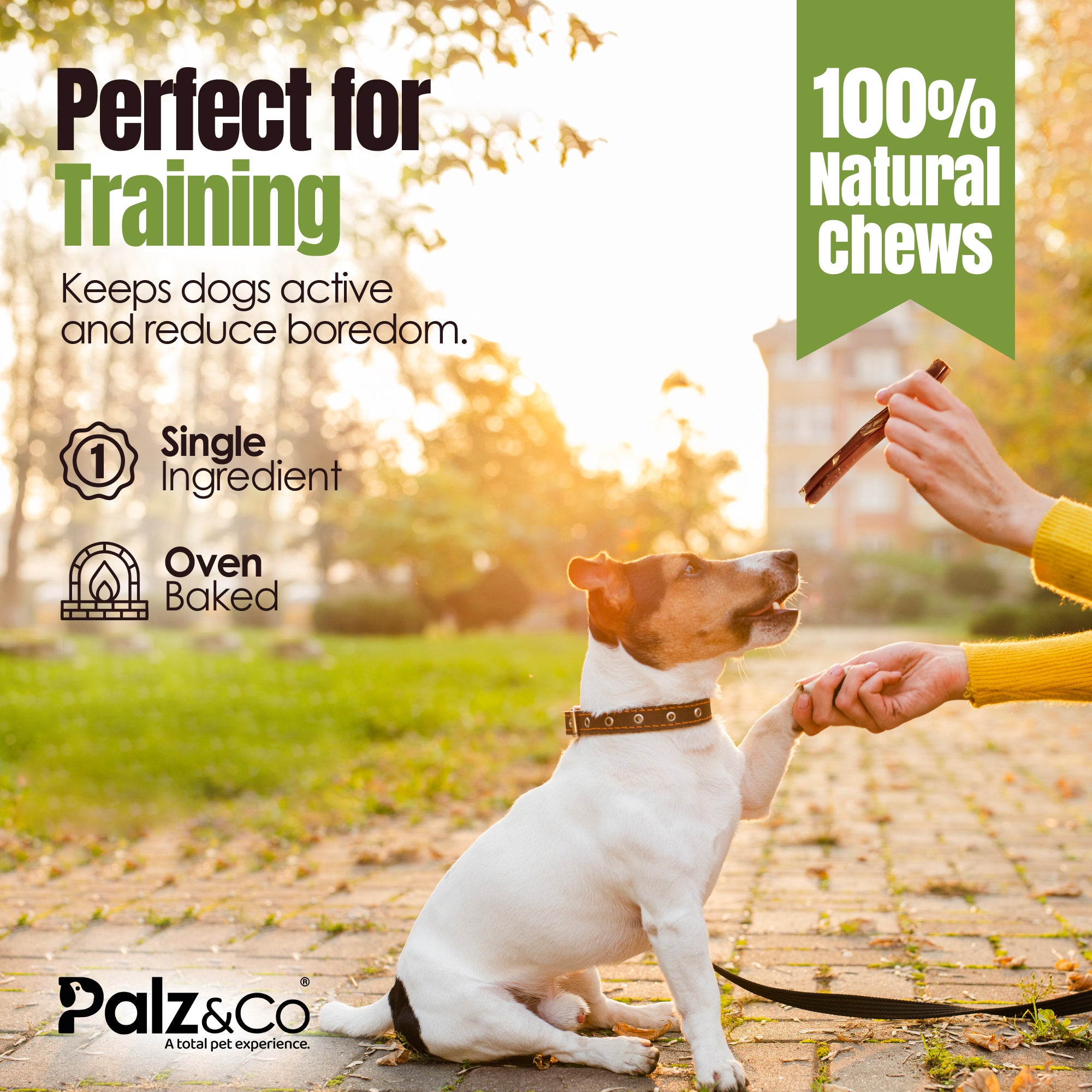 Moodog Beef Standard Bully Sticks 6" & 12" - Pack of 25