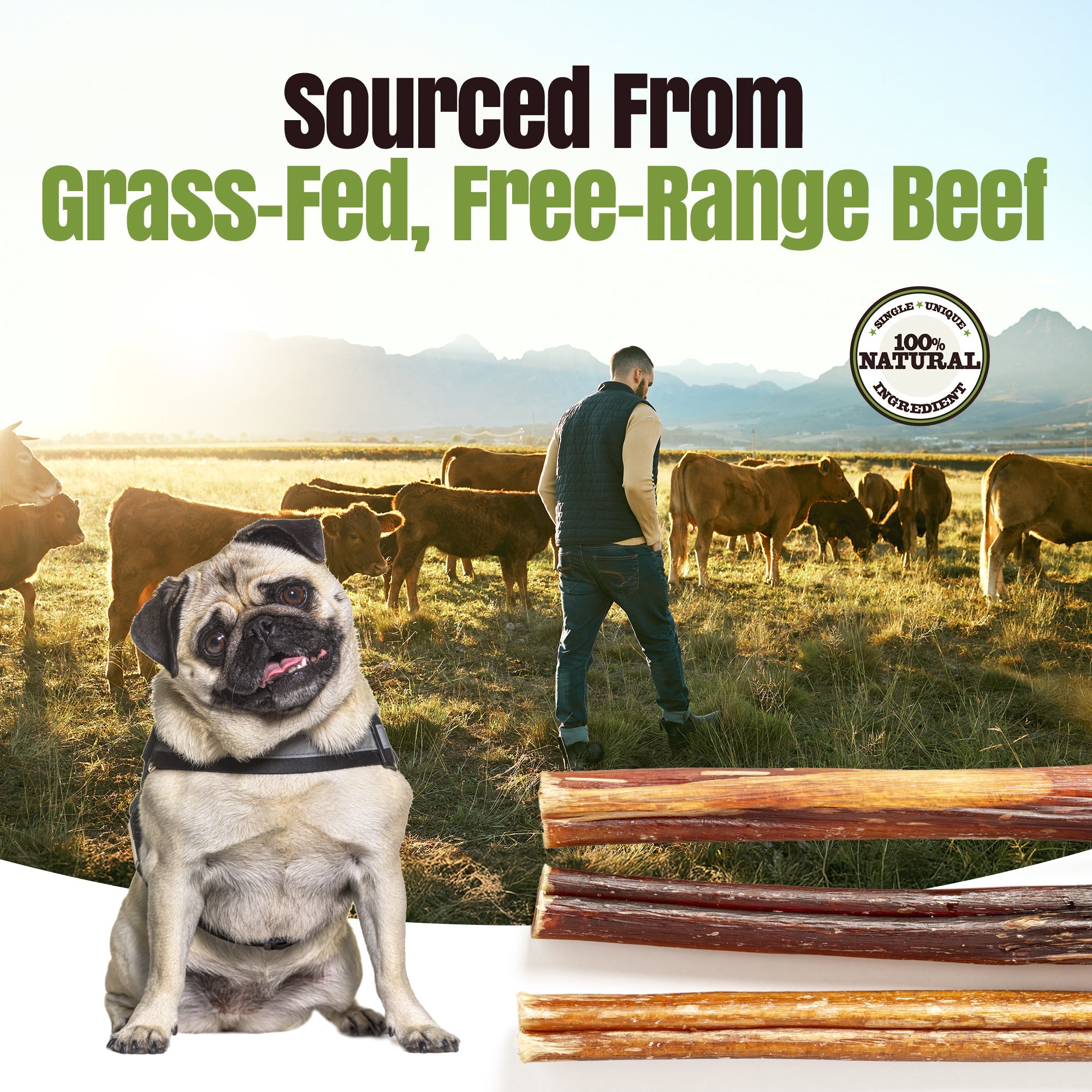 Moodog Beef Thick Bully Sticks 6-12"- Pack of 25