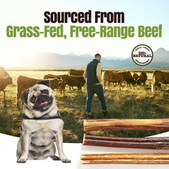 Moodog Beef Thick Bully Sticks 6-12"- Pack of 25