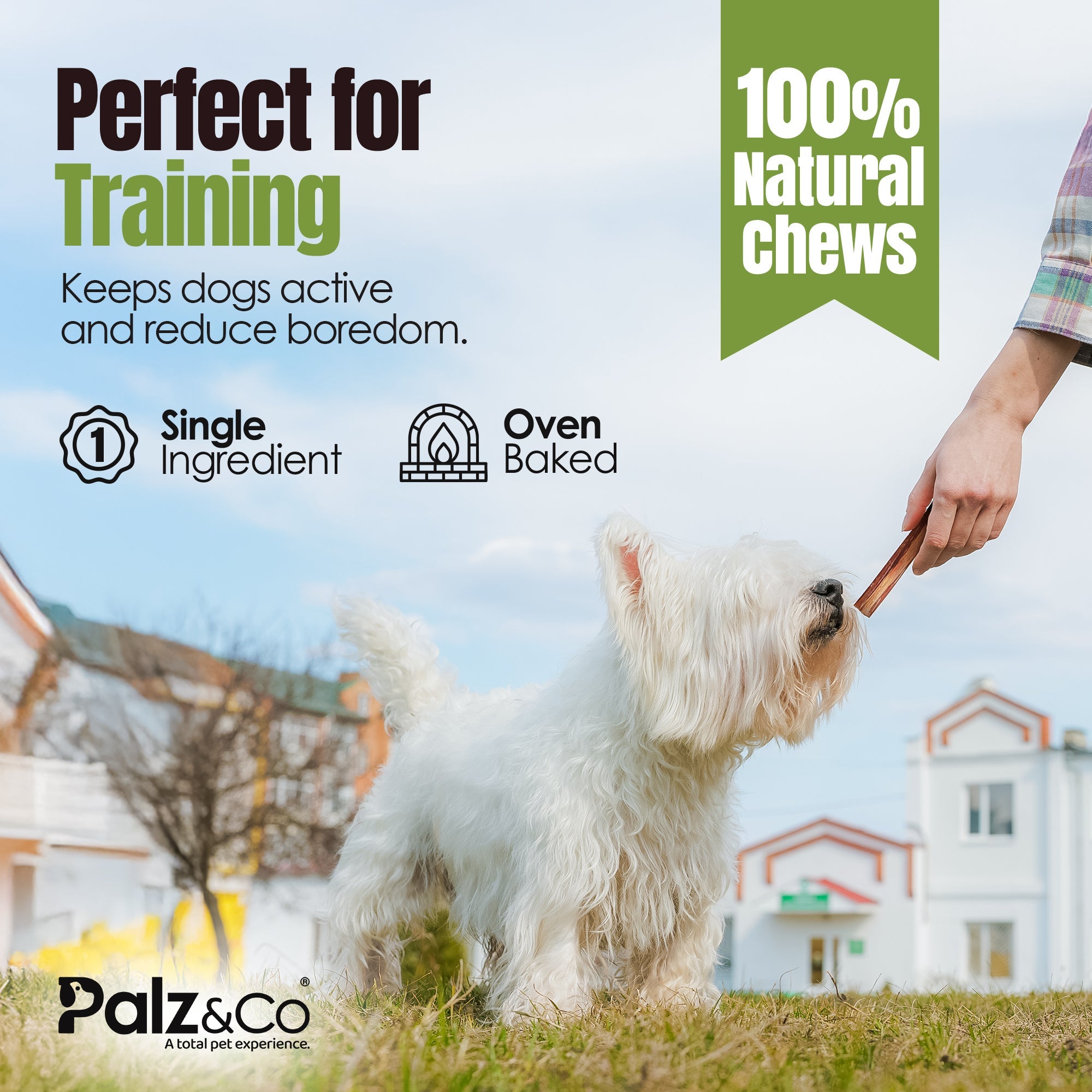 Moodog Beef Thick Bully Sticks 6-12"- Pack of 25