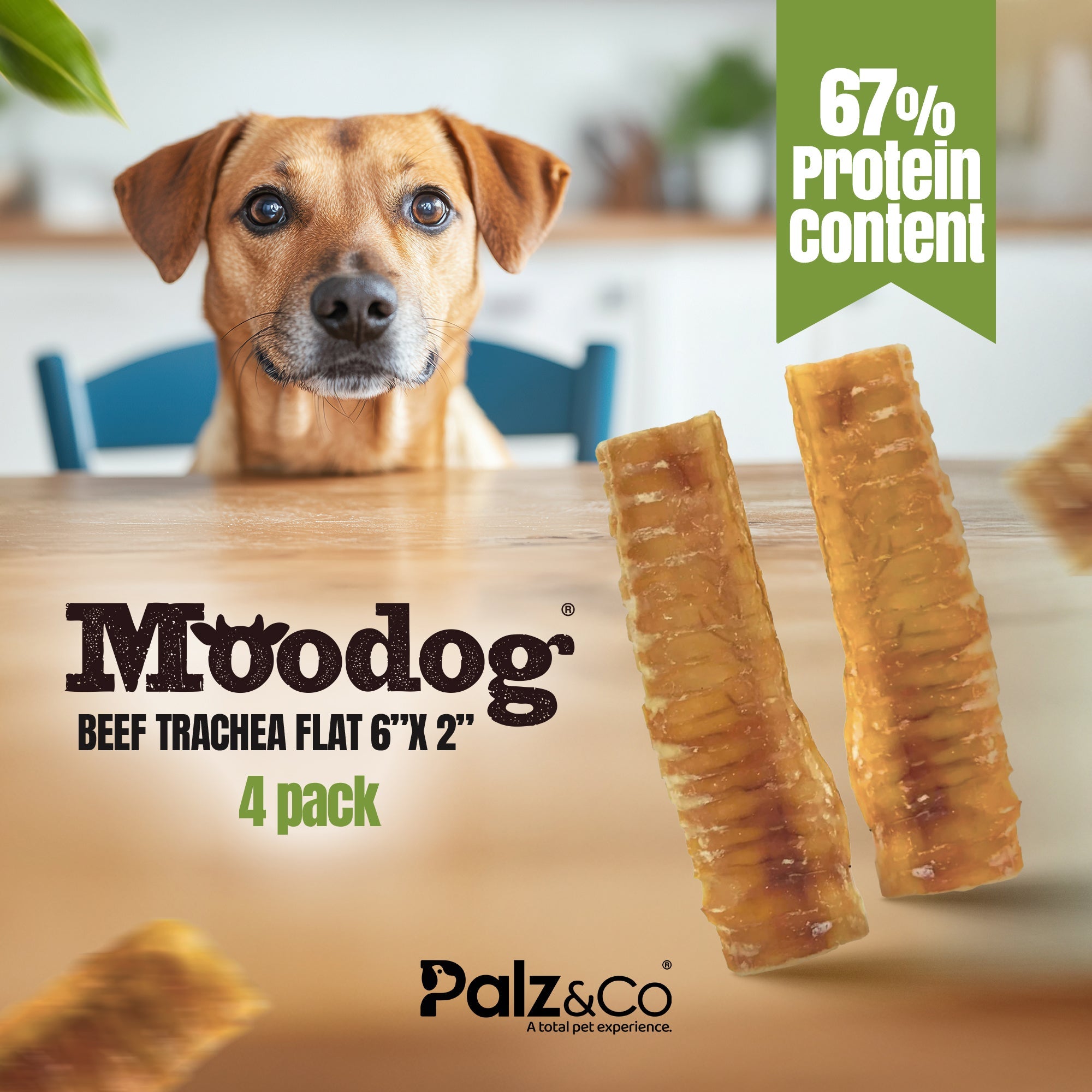 Moodog Beef Trachea Flat 6"x2" - Pack of 4