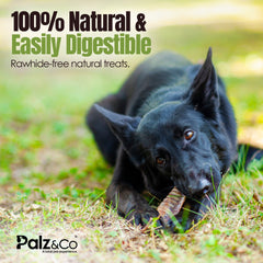 Moodog Beef Trachea Flat 6"x2" - Pack of 4