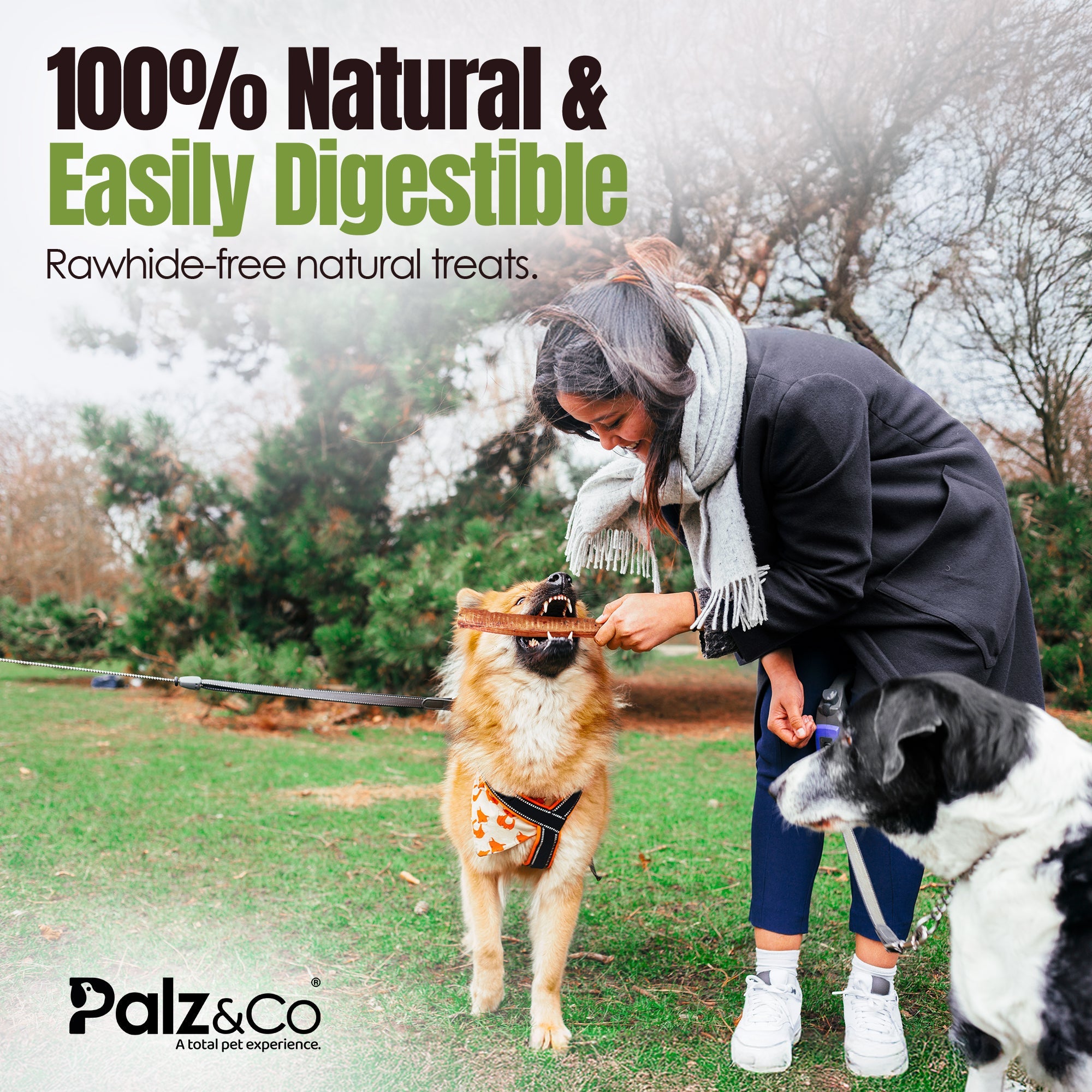 Moodog Beef Trachea Tubes - Pack of 2