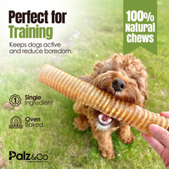 Moodog Beef Trachea Tubes - Pack of 2