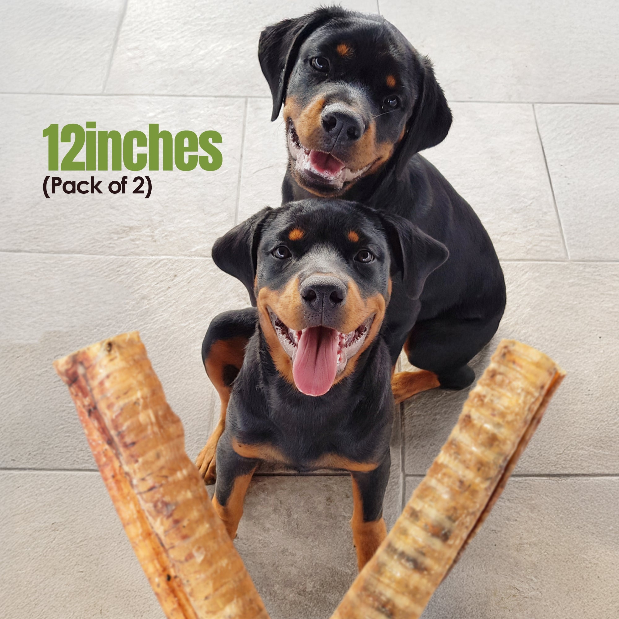 Moodog Beef Trachea Tubes - Pack of 2