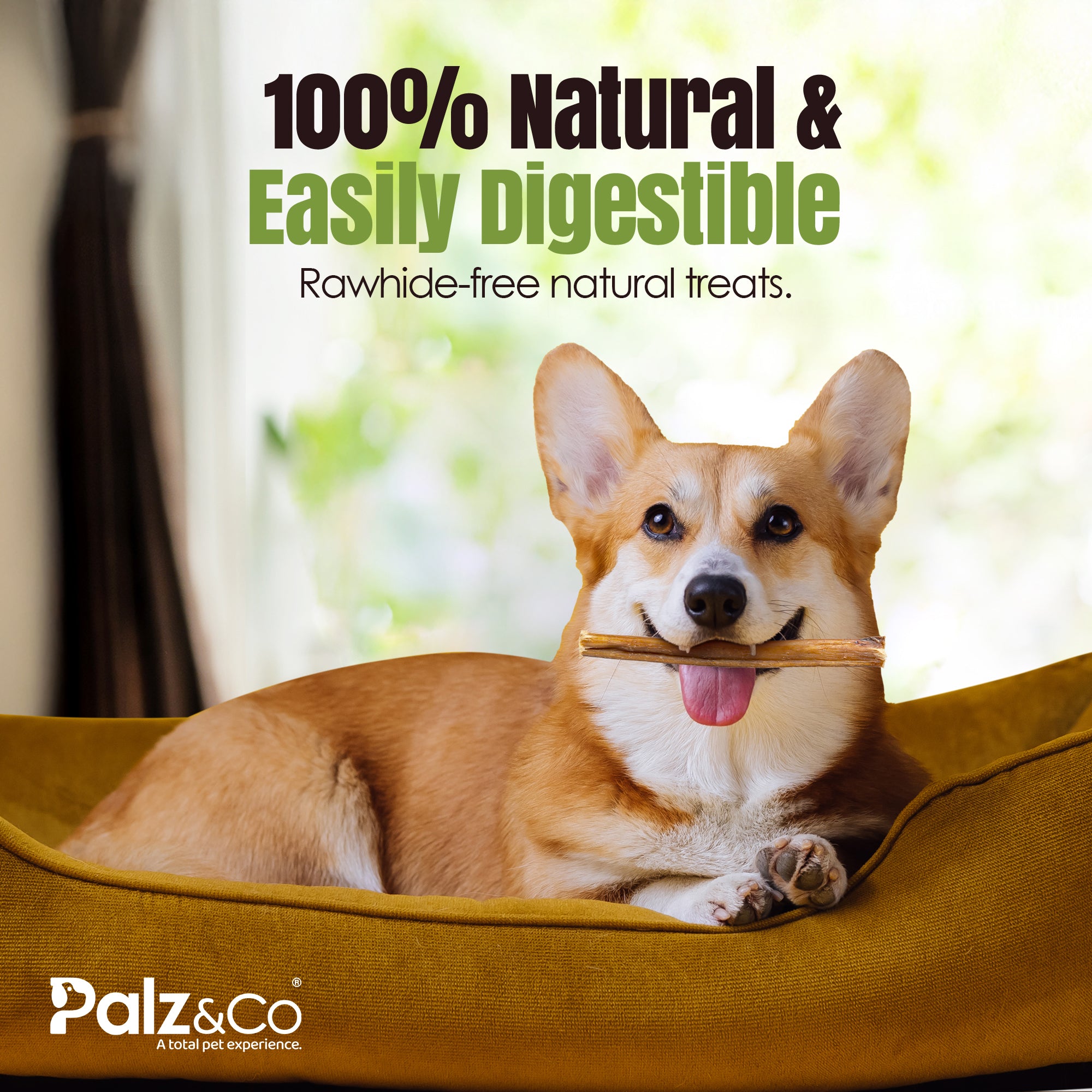 Moodog Beef Value Bully Stick 6" - Pack of 25