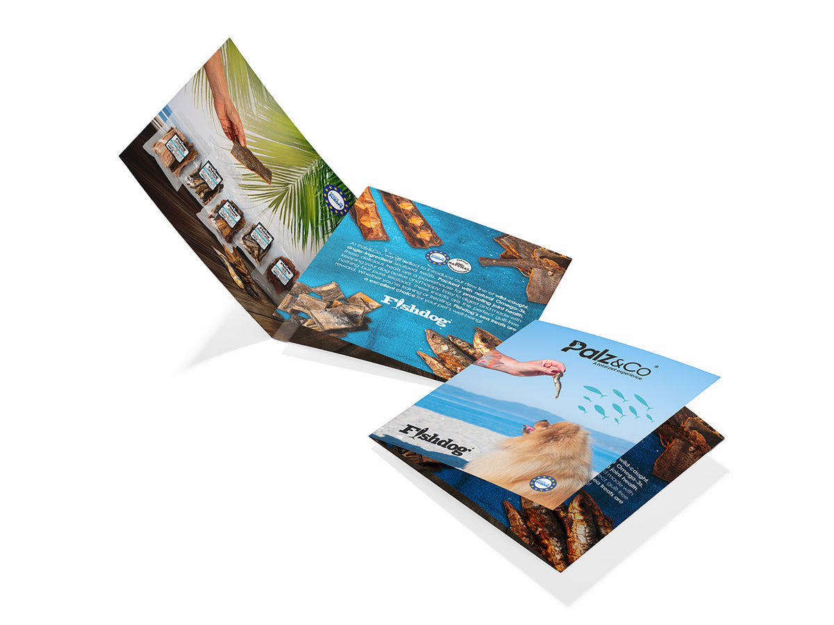 Fishdog Chews Catalog (NC)