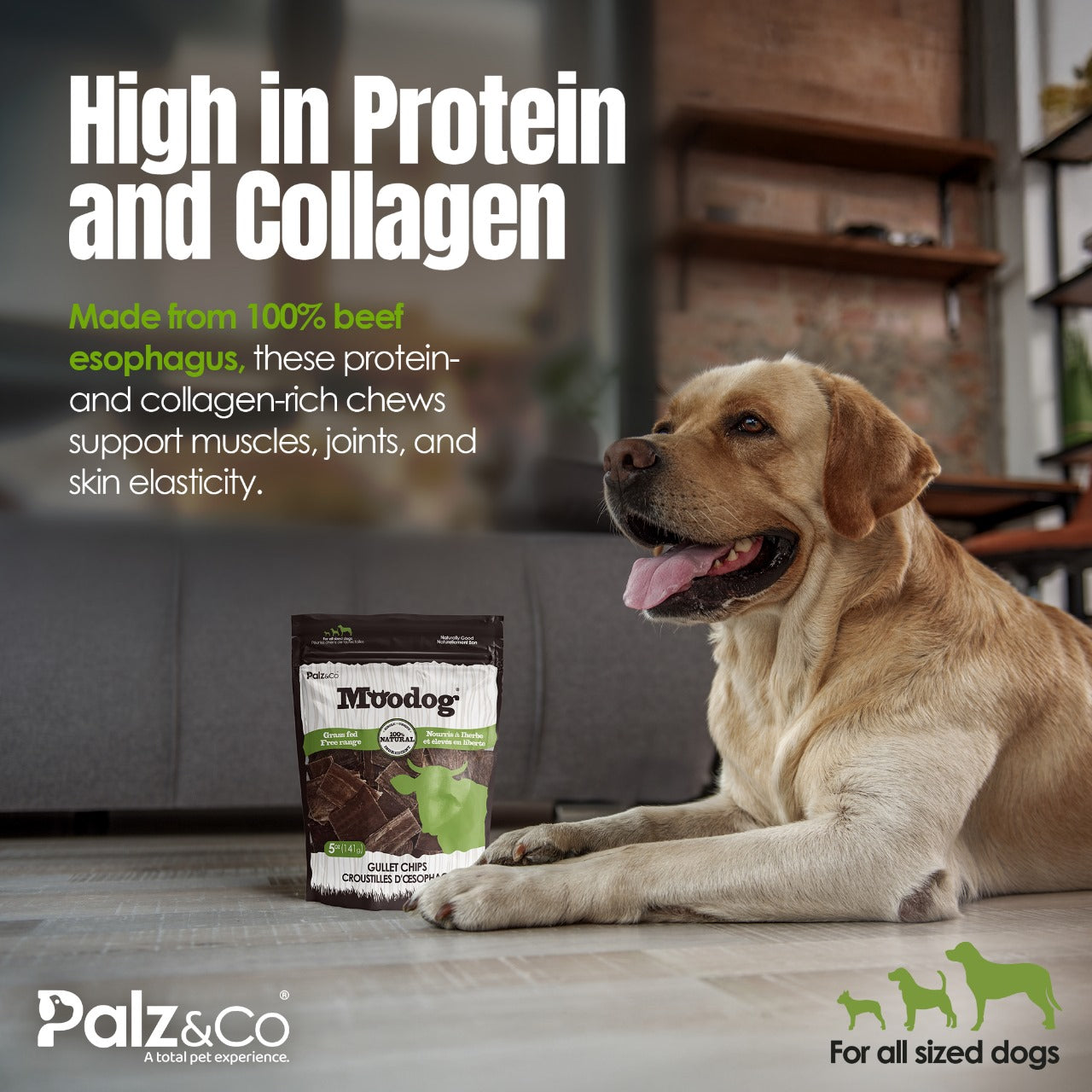 Moodog Beef Gullet Chips - 5 oz