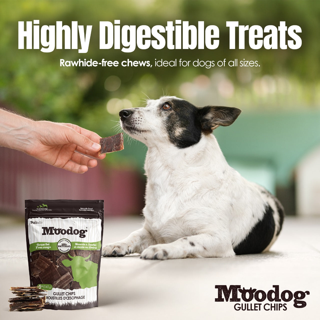 Moodog Beef Gullet Chips - 5 oz