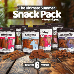 Summer Snack Pack – 6 Protein Dog Treats Bundle