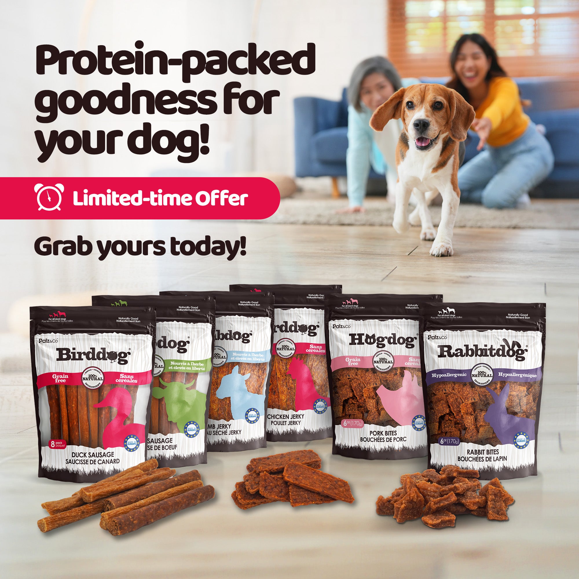 Protein Snack Pack - 6 Treat Bundle
