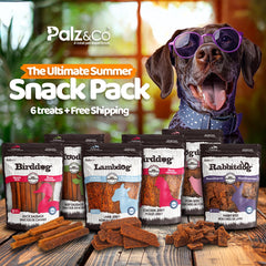 Summer Snack Pack – 6 Protein Dog Treats Bundle