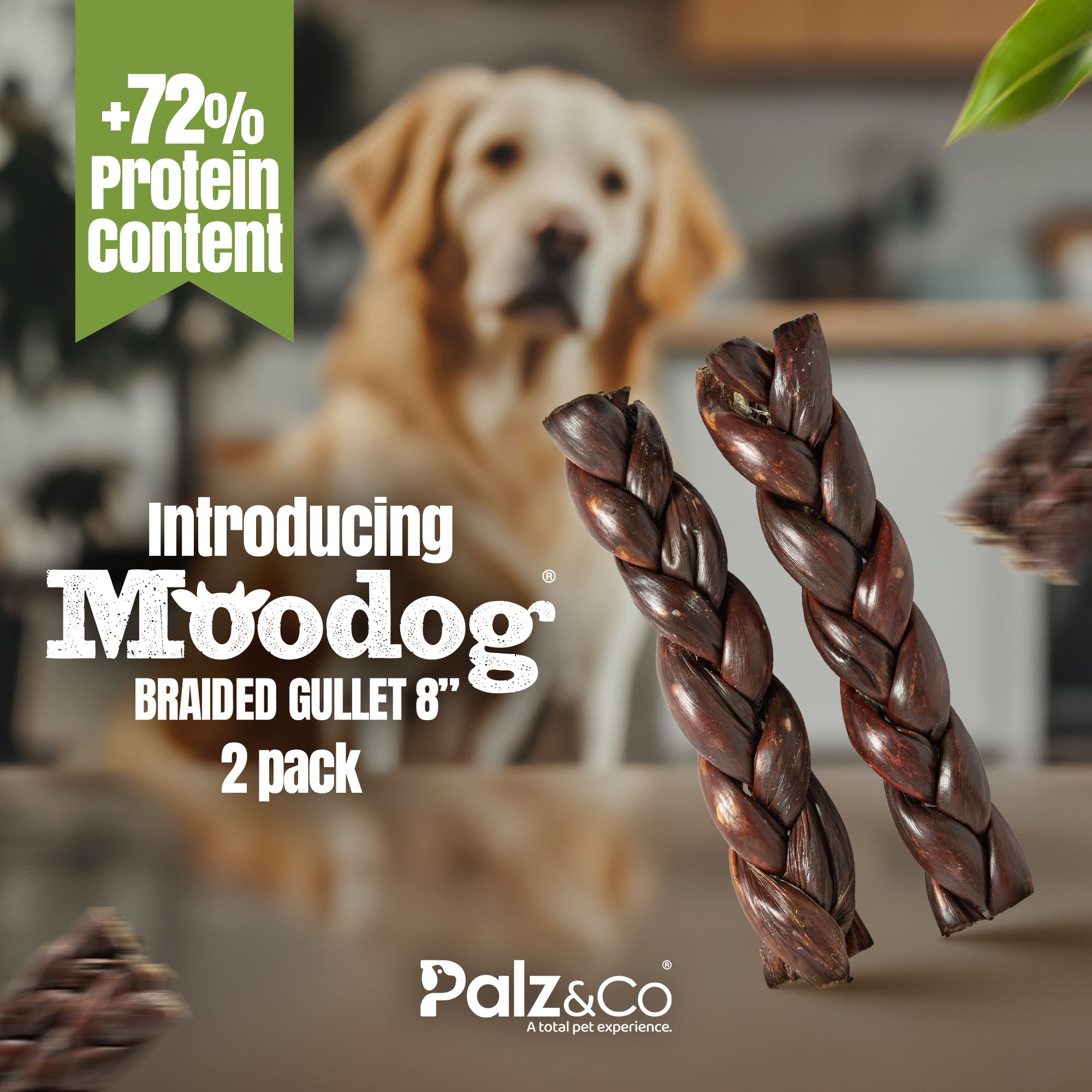 Braided beef gullet dog treats – Moodog 8 inch