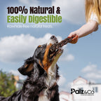 MooDog Beef Braided Gullet 8" 2 Pack