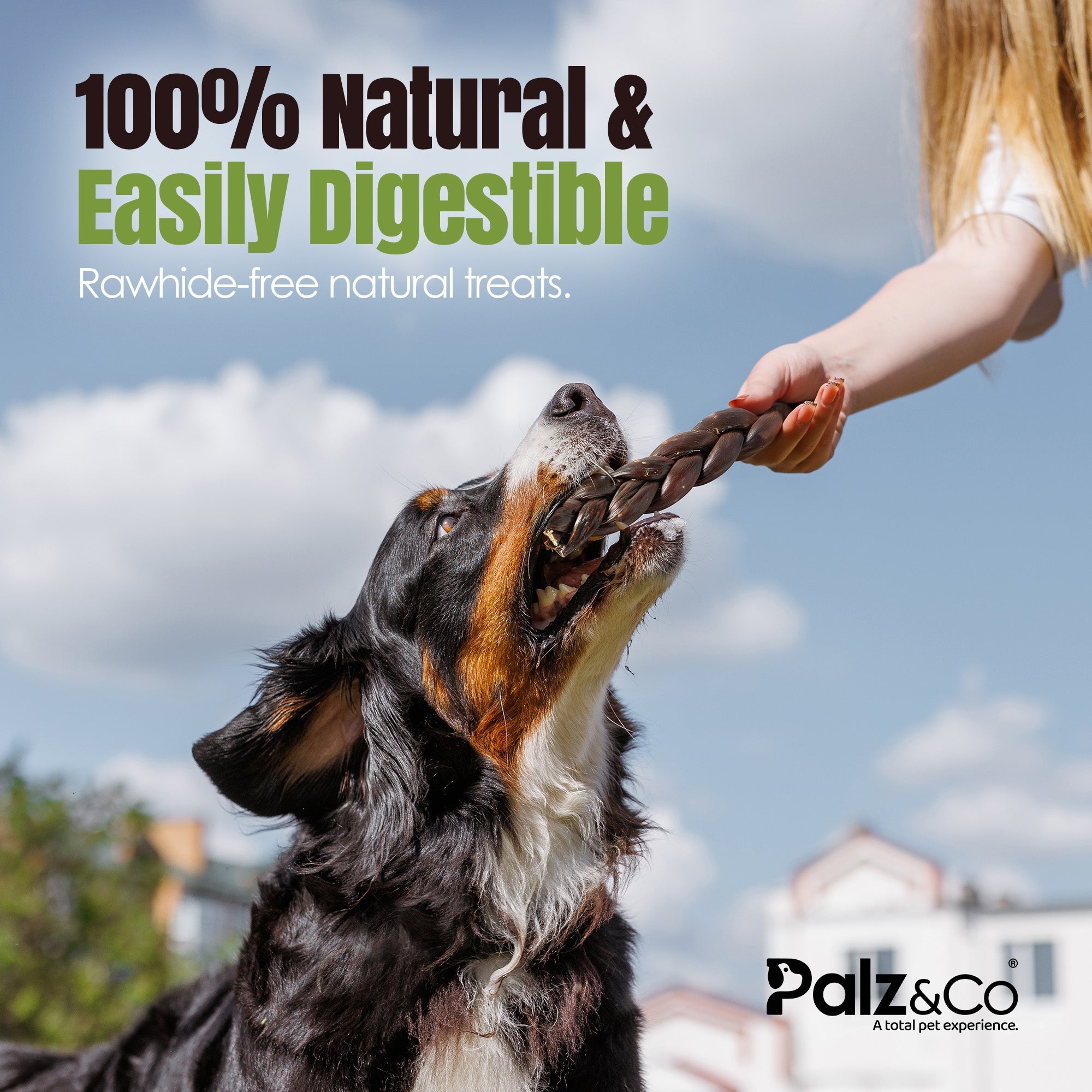 MooDog Beef Braided Gullet 8" 2 Pack