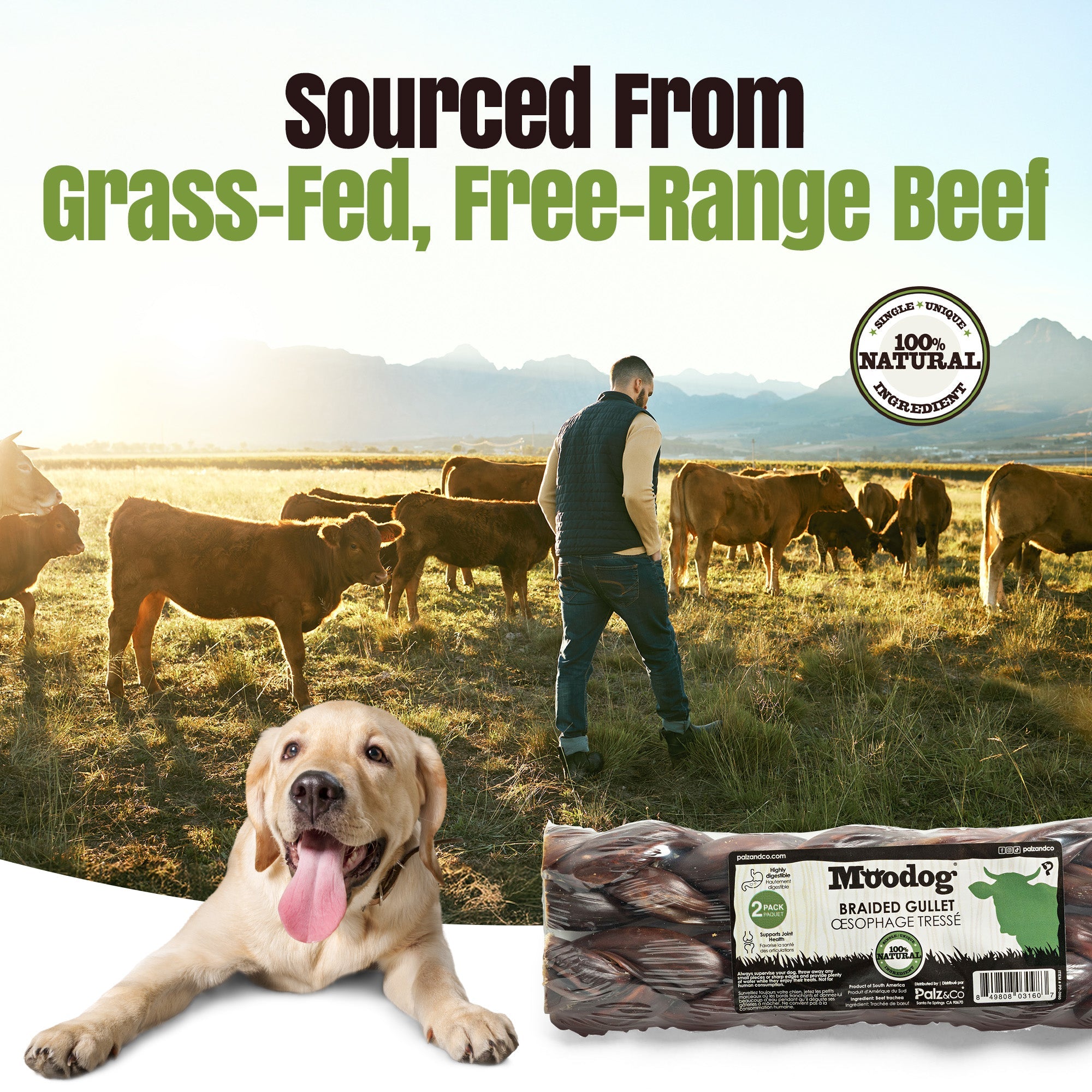 MooDog Beef Braided Gullet 8" 2 Pack