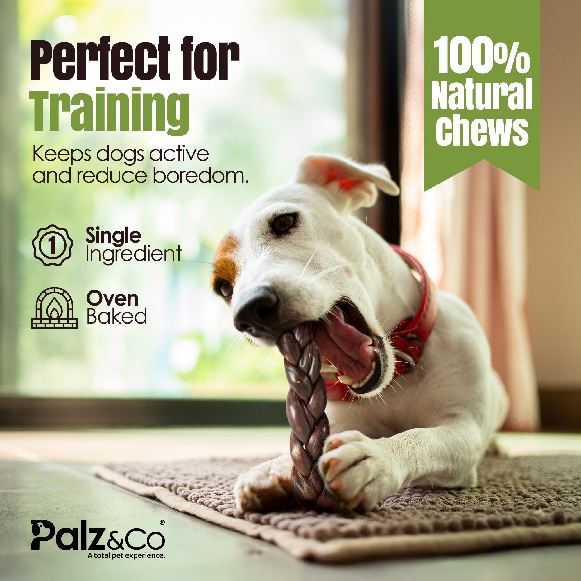 MooDog Beef Braided Gullet 8" 2 Pack