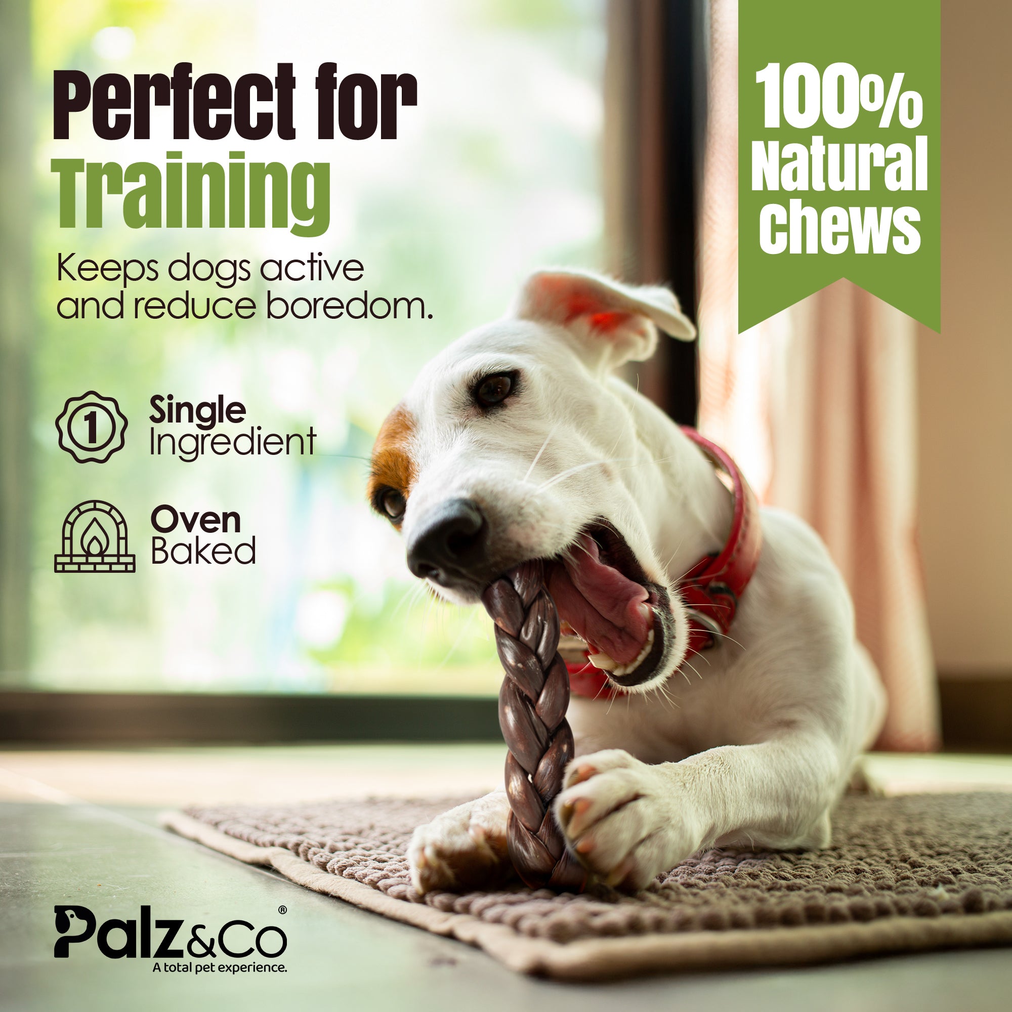 Moodog all-natural braided gullets for dogs – 2 pack