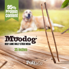 Moodog Beef Cane Bully Stick - Mega 35"