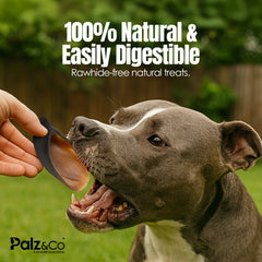 Moodog Beef Cow Hooves - Pack of 30