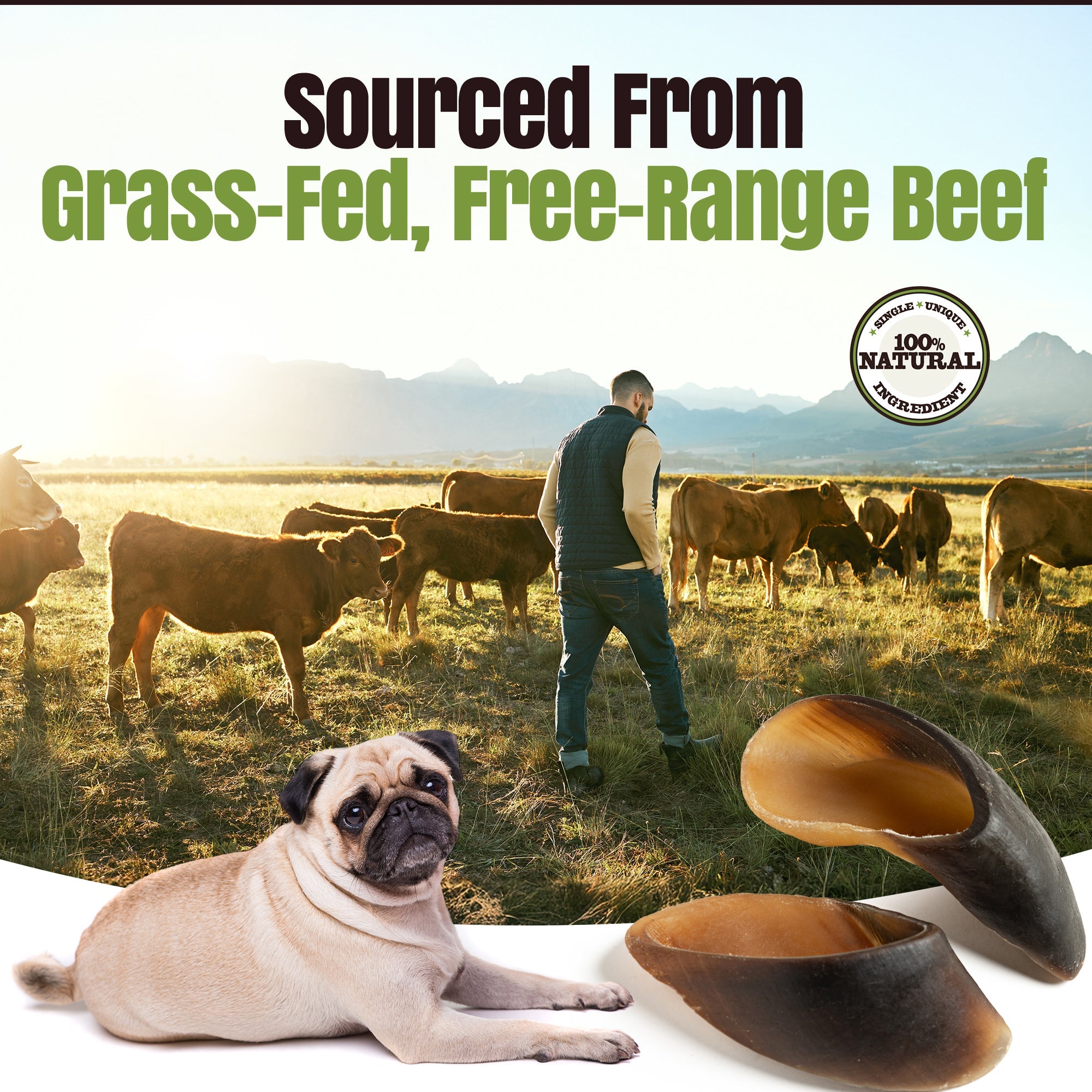 Moodog Beef Cow Hooves - Pack of 30