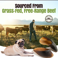 Moodog Beef Cow Hooves - Pack of 30