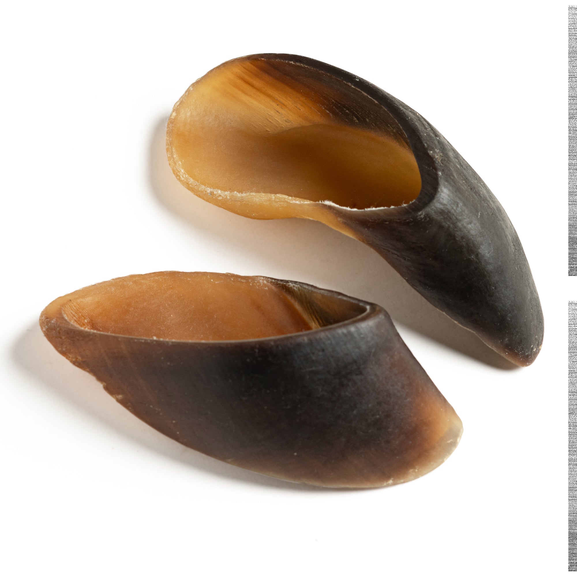 Moodog Beef Cow Hooves - Pack of 30 Secondary image