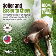 Moodog Easy-Chew Corium Collagen Dog Treat 7" & 10" Beef Flavor Roll