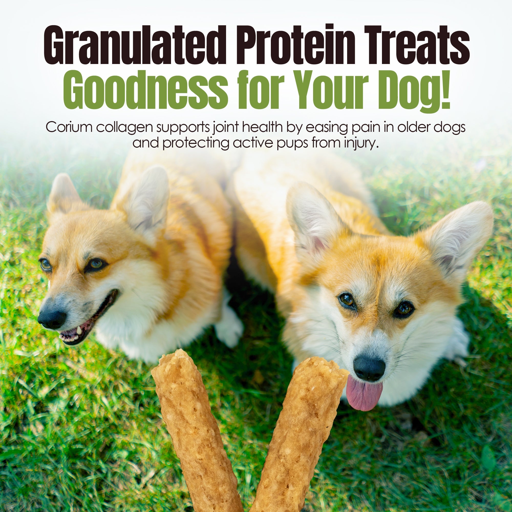 Moodog Easy-Chew Corium Collagen Dog Treat 7" & 10" Beef Flavor Roll