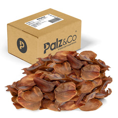 Hogdog Pig Large Ears - Pack of 100