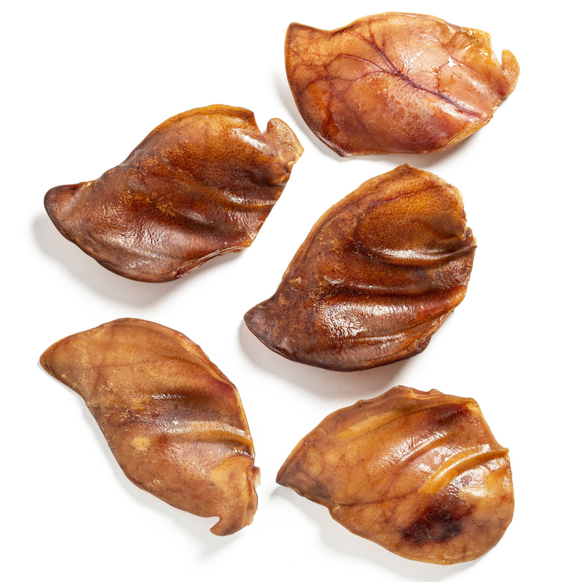 Hogdog Pig Large Ears - Pack of 100