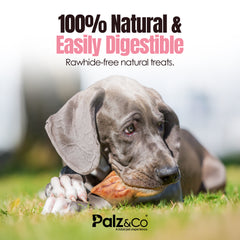 Hogdog Pig Large Ears - Pack of 100