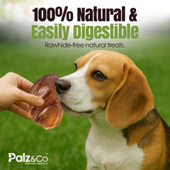 Hogdog Pig Large Ears, 100 Pack