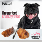 Dog with two dog treats and a tool, with 'Palz & Co' branding.