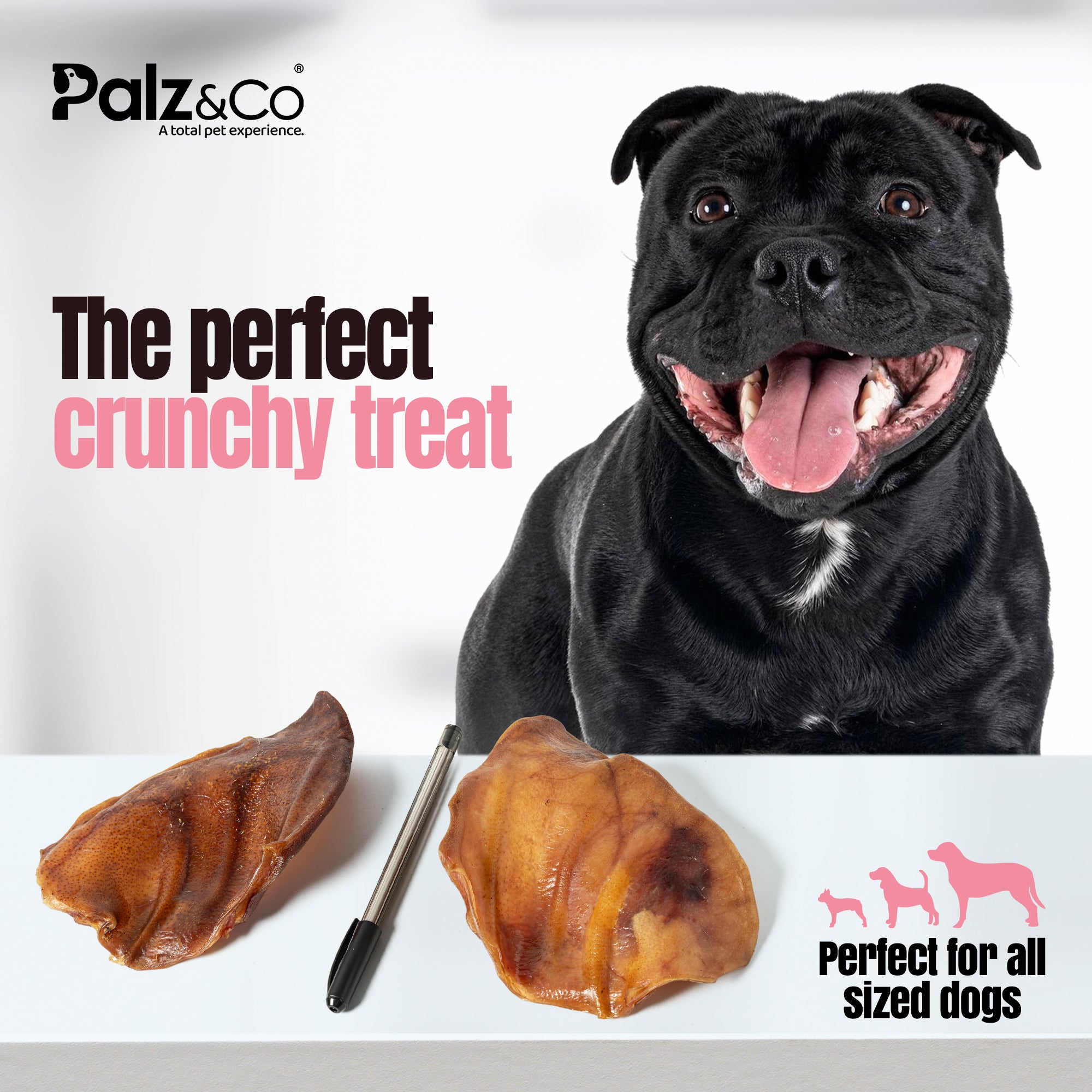 Dog with two dog treats and a tool, with 'Palz & Co' branding.