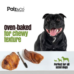 Hogdog Pig Large Ears, 100 Pack