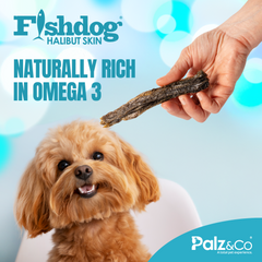Fishdog Halibut Skin Dog Treats – Wild-Caught, Omega-3 Rich Fish Skin Chews – All-Natural, Single Ingredient, Grain-Free – 2.5 oz (70g) by Palz&Co