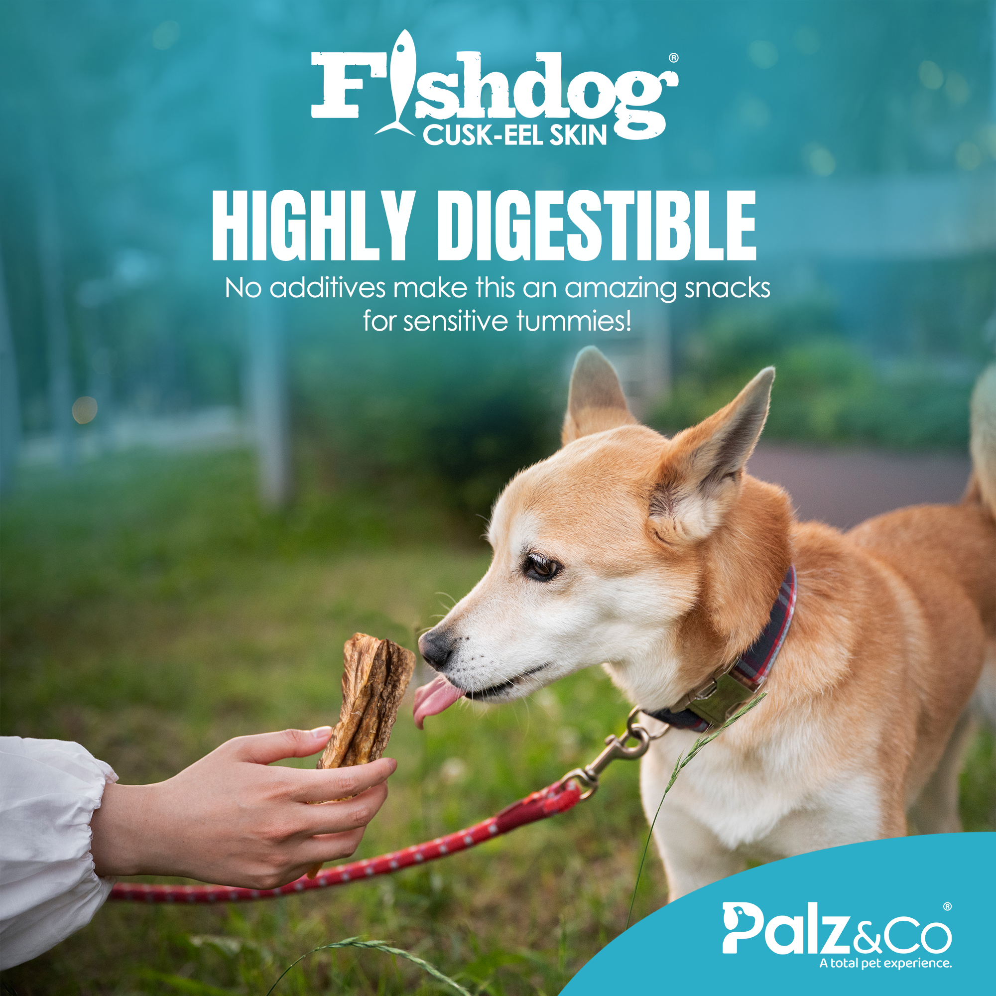 Fishdog Cusk-Eel Skin - 2.5 oz (70g)