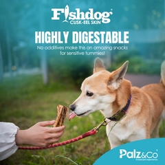 Fishdog Cusk-Eel Skin Dog Treats – Wild-Caught, Omega-3 Rich Fish Skin Chews – Natural, Single-Ingredient, Crunchy Dog Snack – 2.5 oz (70g) by Palz&Co