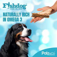 Fishdog Cusk-Eel Skin Dog Treats – Wild-Caught, Omega-3 Rich Fish Skin Chews – Natural, Single-Ingredient, Crunchy Dog Snack – 2.5 oz (70g) by Palz&Co