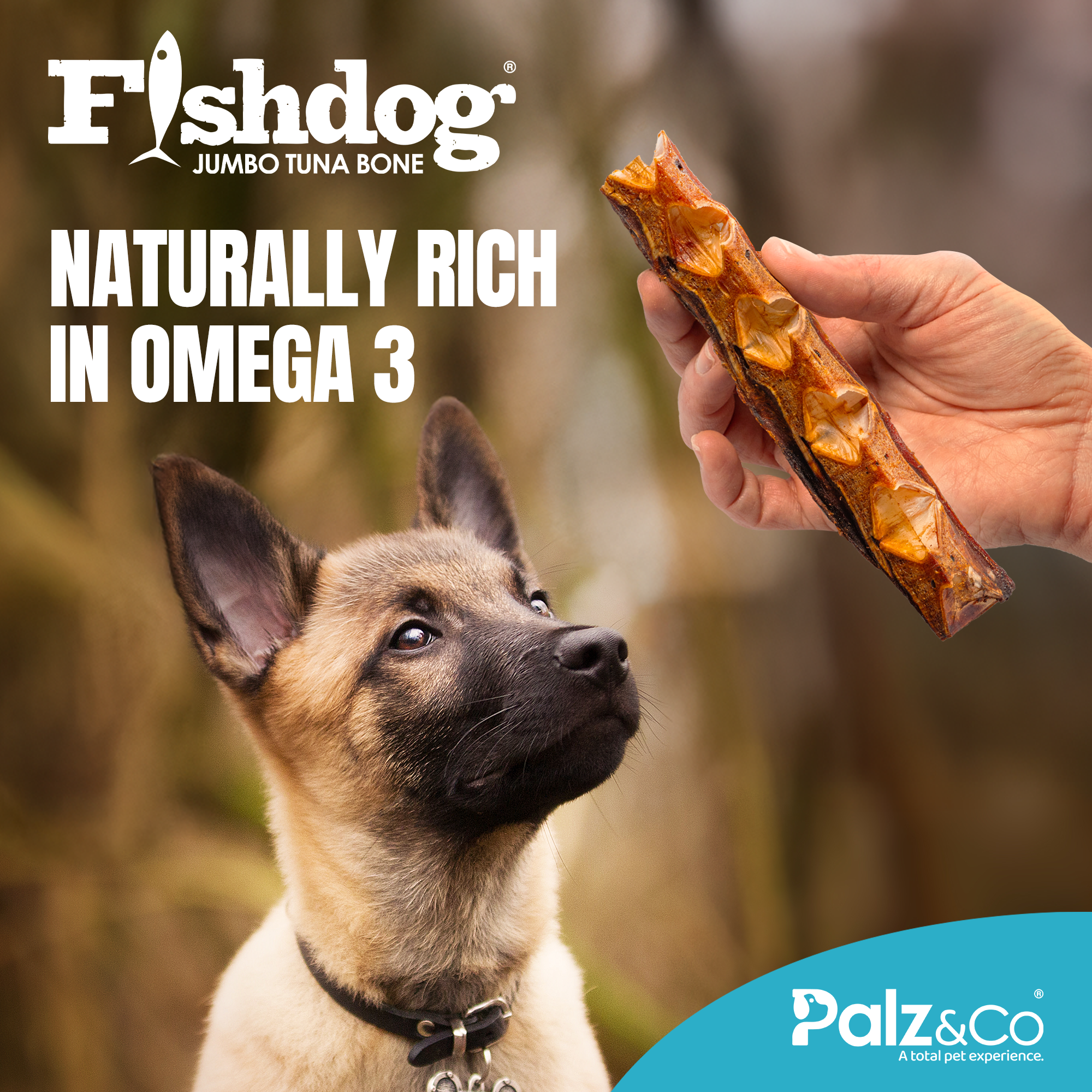 Fishdog Tuna Bones - 3.5 oz (100g)