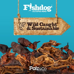 Fishdog Octopus Head Dog Treats – Natural Wild-Caught Octopus – High in Omega-3 – Supports Joint Health – 3.5 oz (100g) by Palz&Co