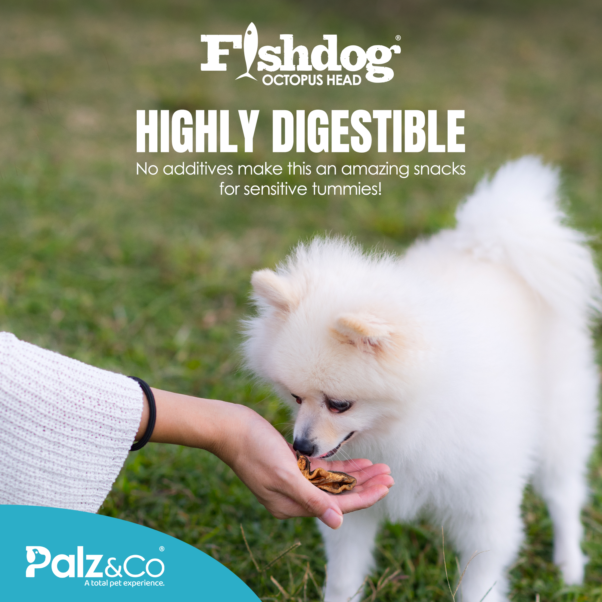 Fishdog Octopus Head - 3.5 oz (100g)