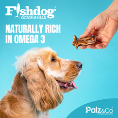 Fishdog Octopus Head Dog Treats – Natural Wild-Caught Octopus – High in Omega-3 – Supports Joint Health – 3.5 oz (100g) by Palz&Co
