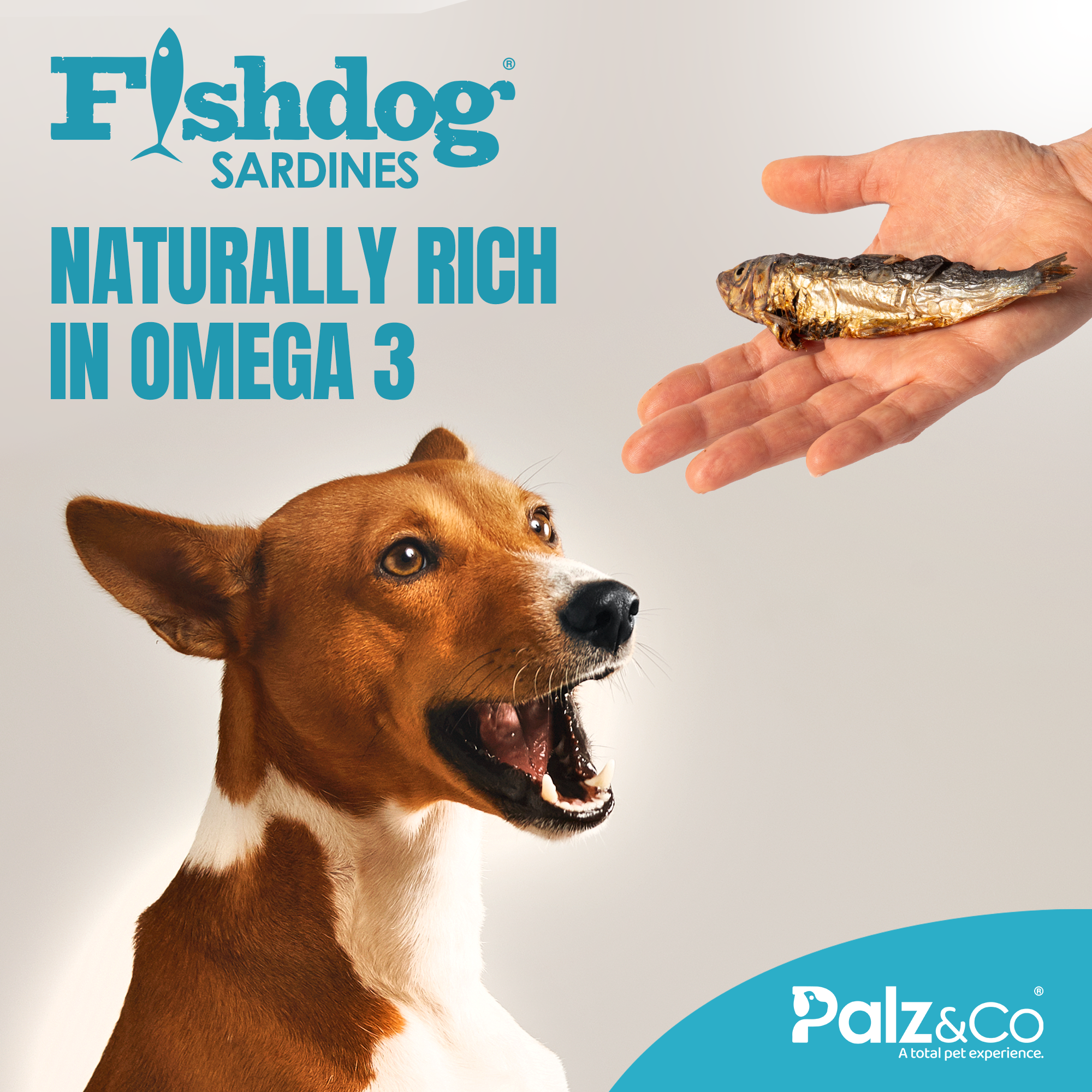 Fishdog Sardines - 2.5 oz (70g)