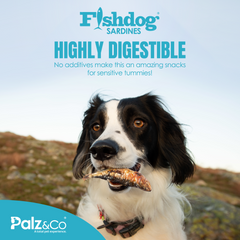 Fishdog Sardines - 2.5 oz (70g)
