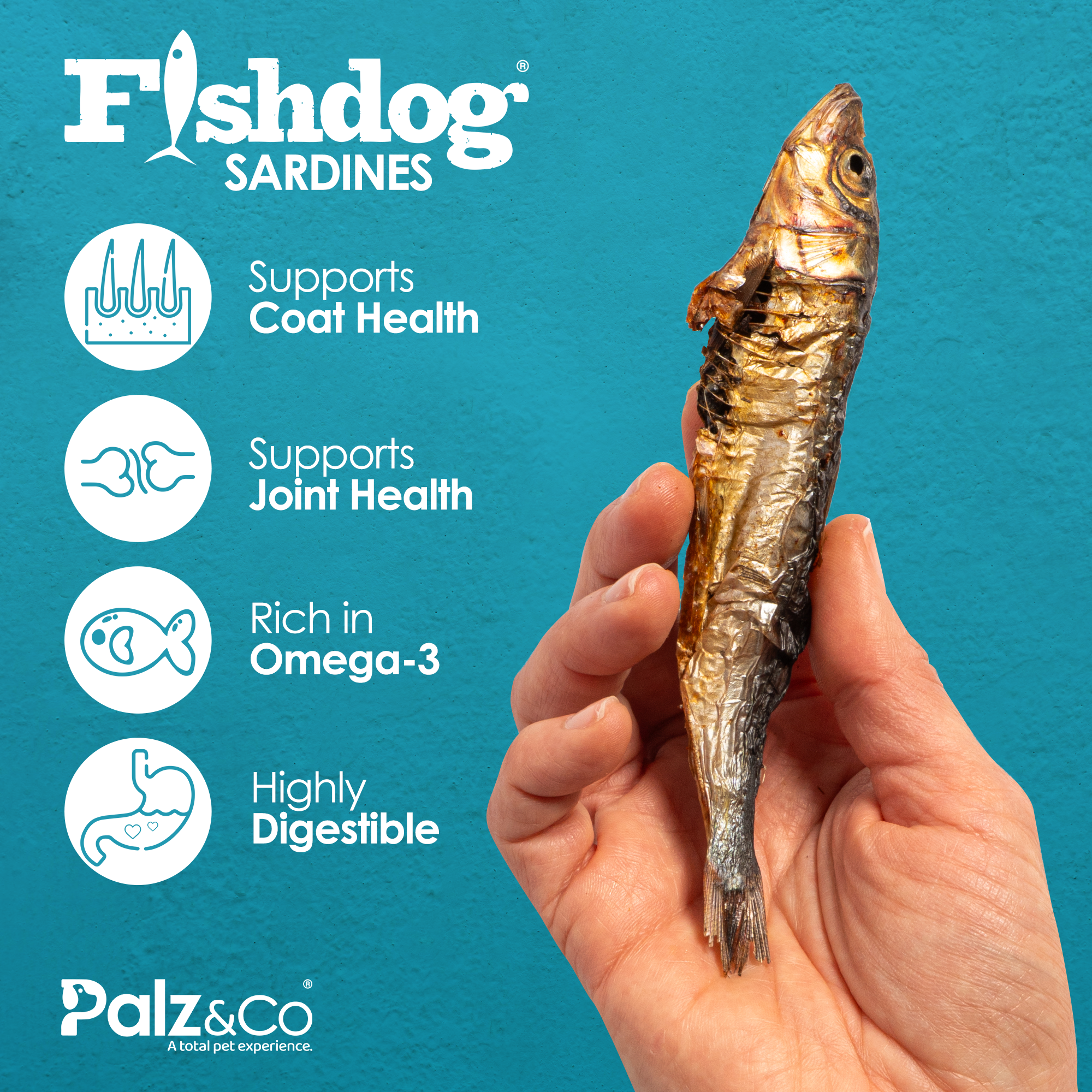 Fishdog Sardines - 2.5 oz (70g)
