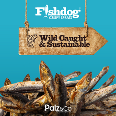 Fishdog Crispy Sprats Dog Treats – Whole Wild-Caught Fish Snacks for Dogs – All-Natural, Omega-3 Rich, Single Ingredient – 2.5 oz (70g) by Palz&Co